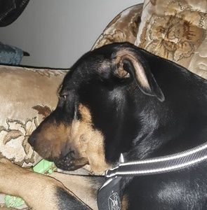 Meet your Posher, Bryan m